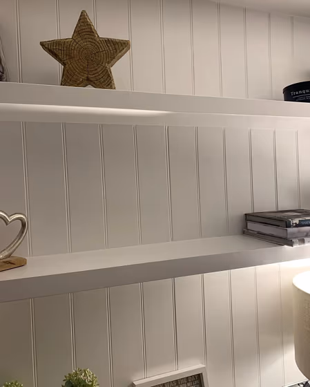 Farrow and Ball Wevet 273 painted storage