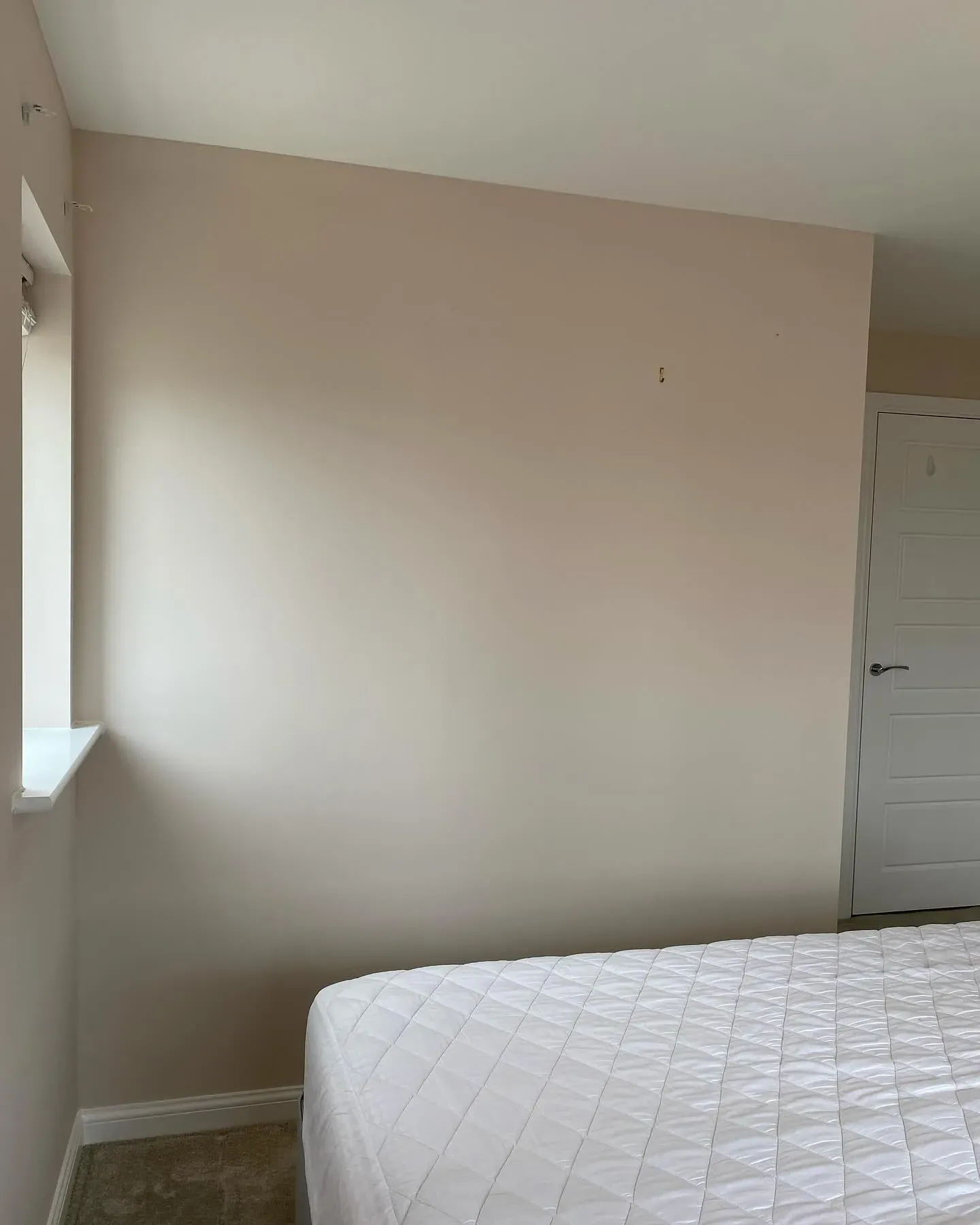 Almost Oyster bedroom review