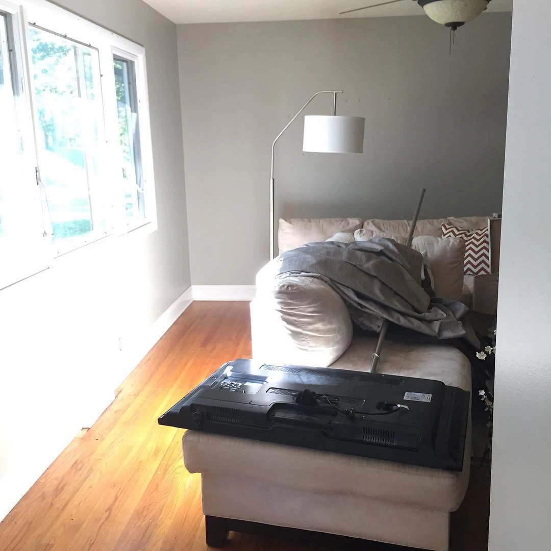 Sw Analytical Gray Living Room