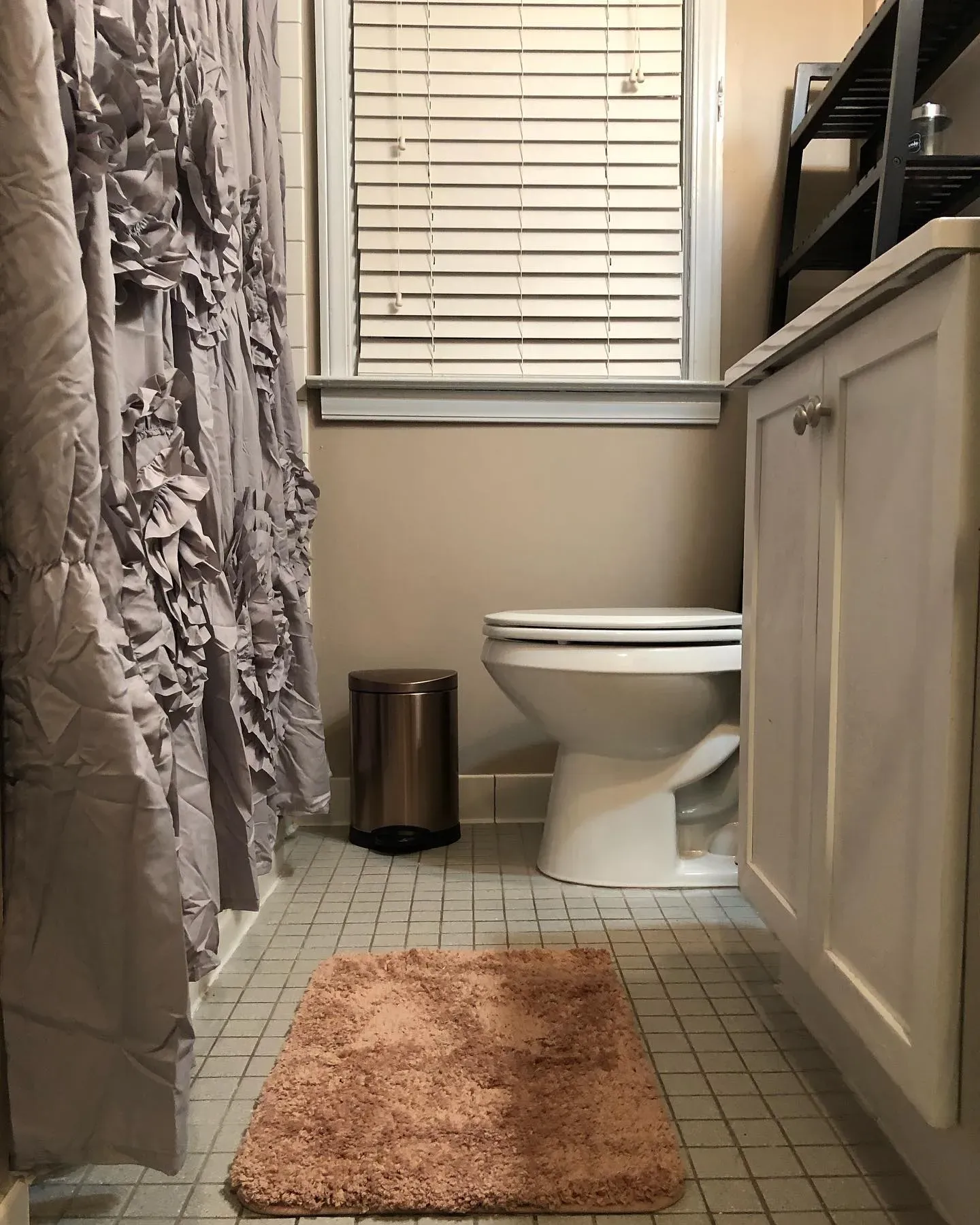 Behr Armadillo bathroom paint review