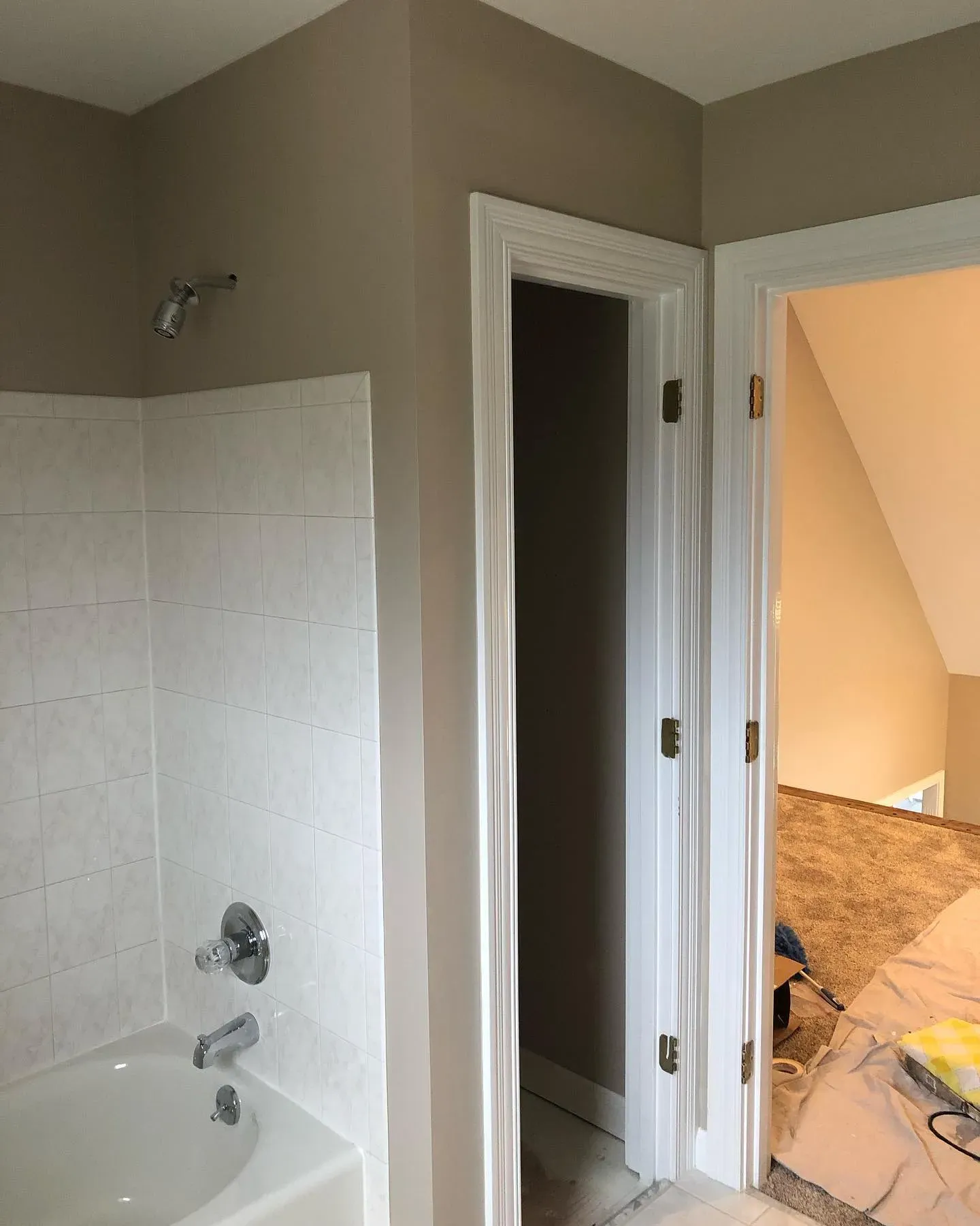 Behr Ashen Tan bathroom color