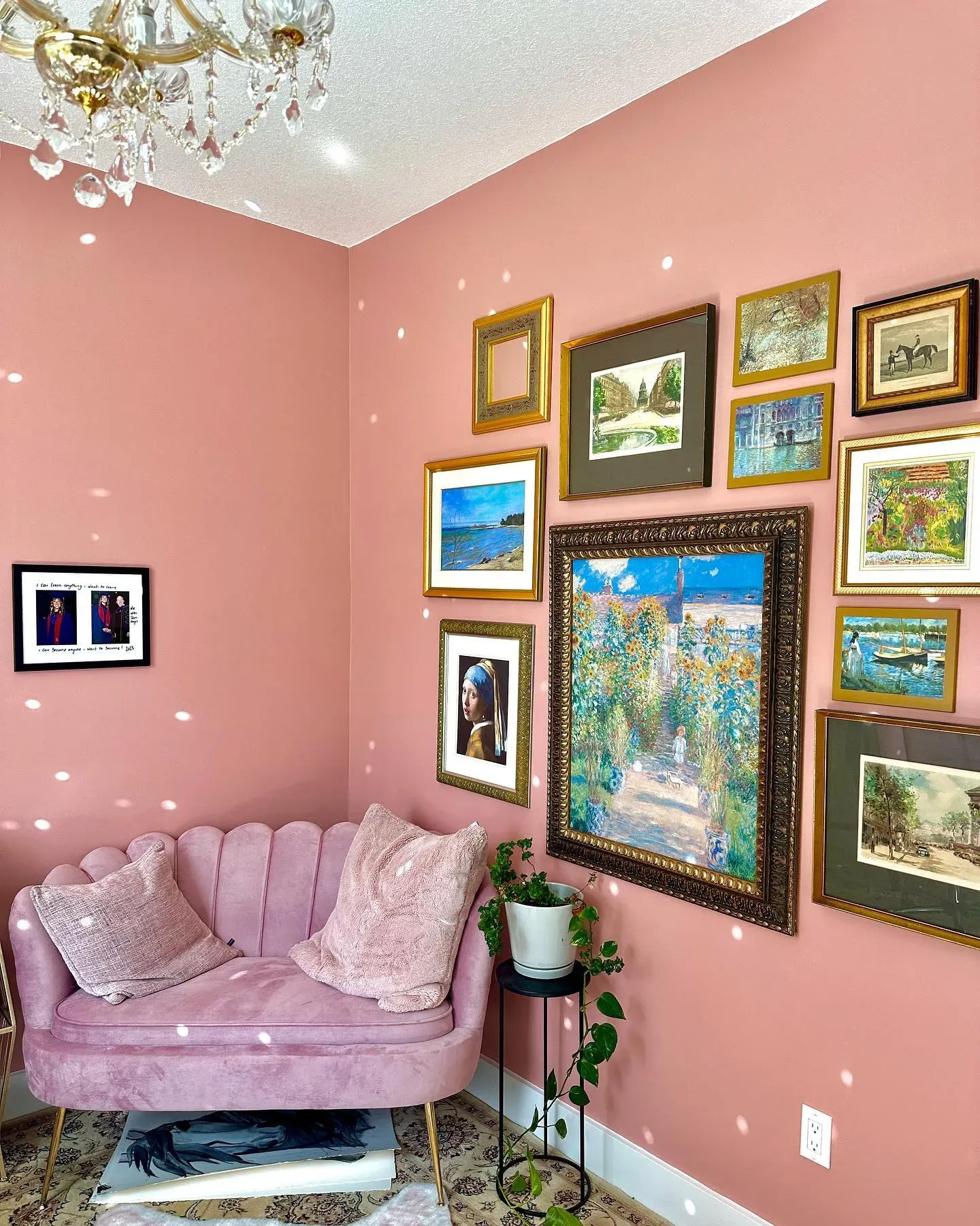 Behr Bubble Shell living room interior