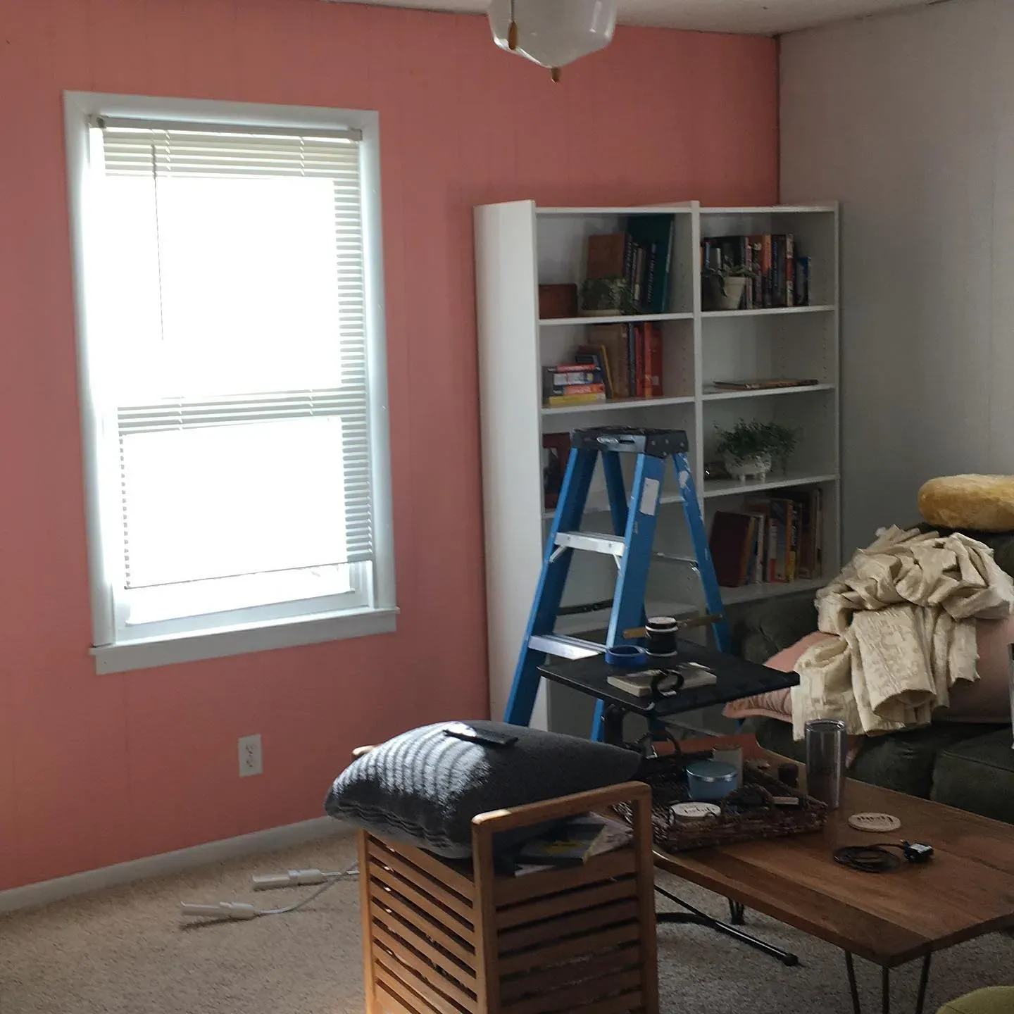 Coral Fountain living room accent wall
