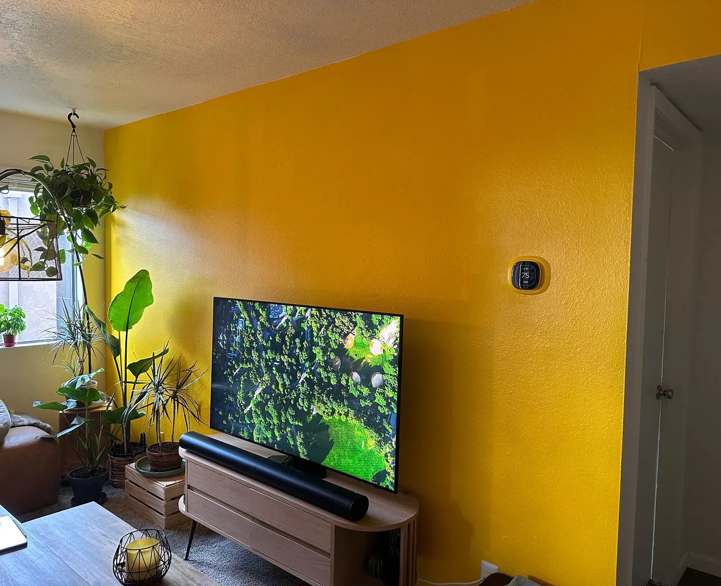 Behr Extreme Yellow living room color