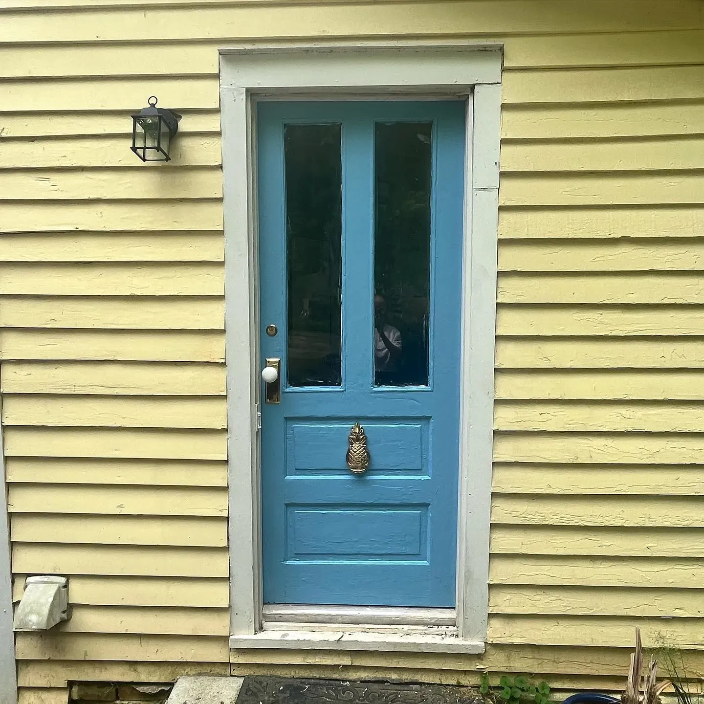 Behr M490-4 front door 