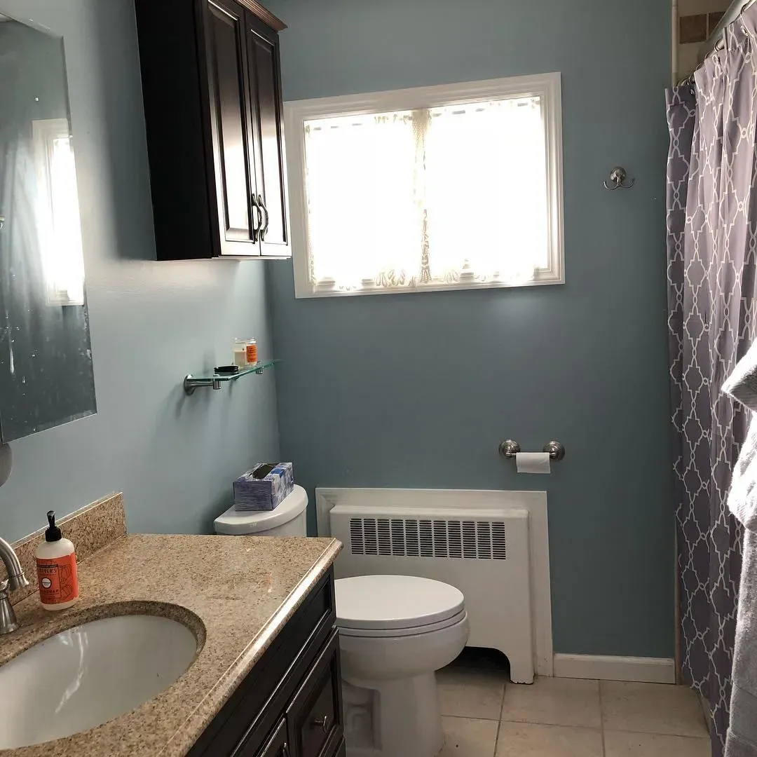 Half Sea Fog bathroom paint