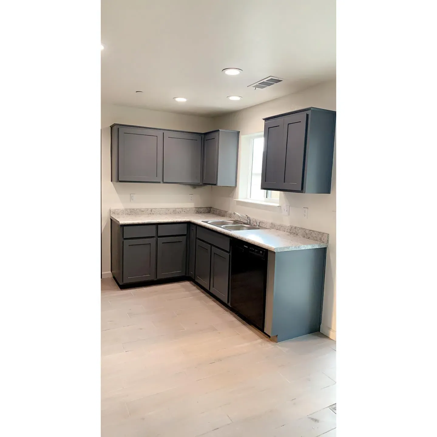 Imperial Gray kitchen cabinets color