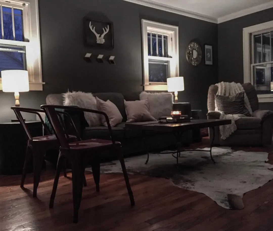 Behr Mined Coal living room interior