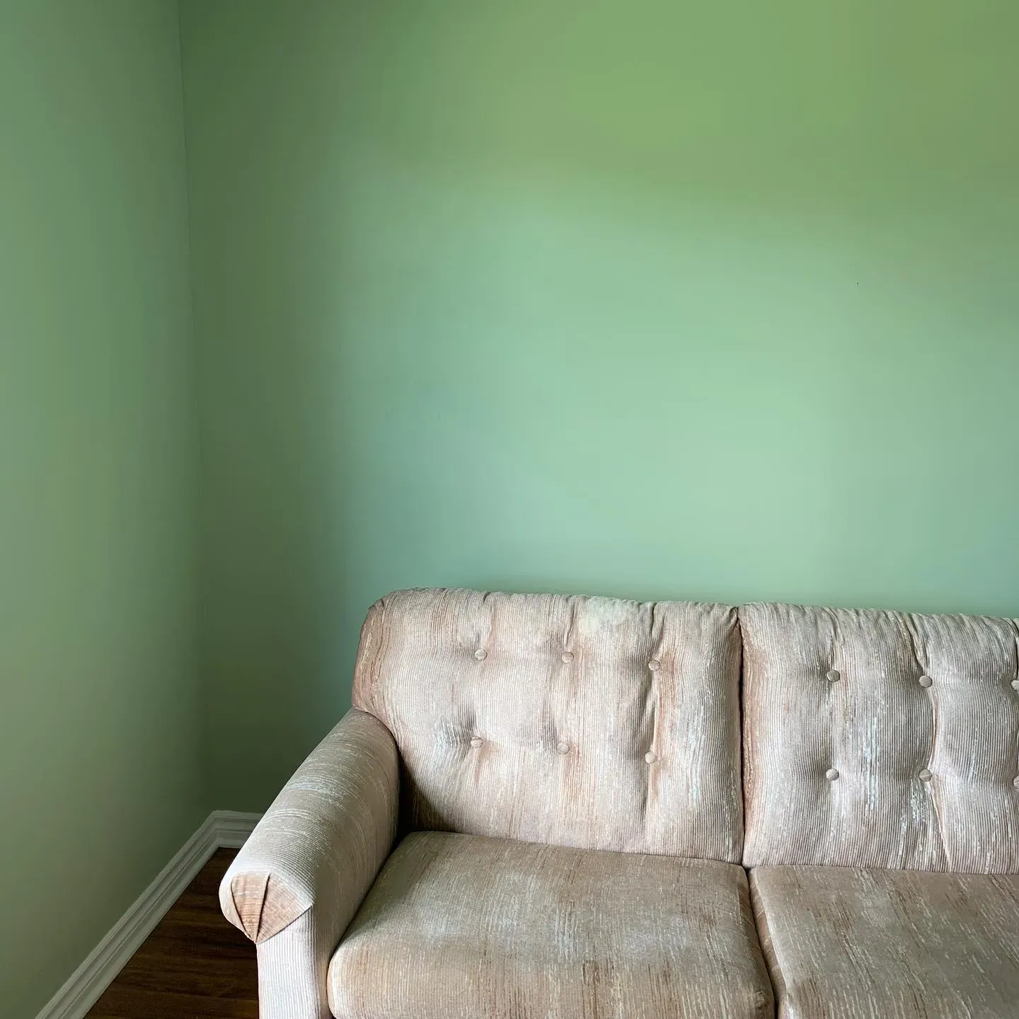 Behr Sage Brush living room color