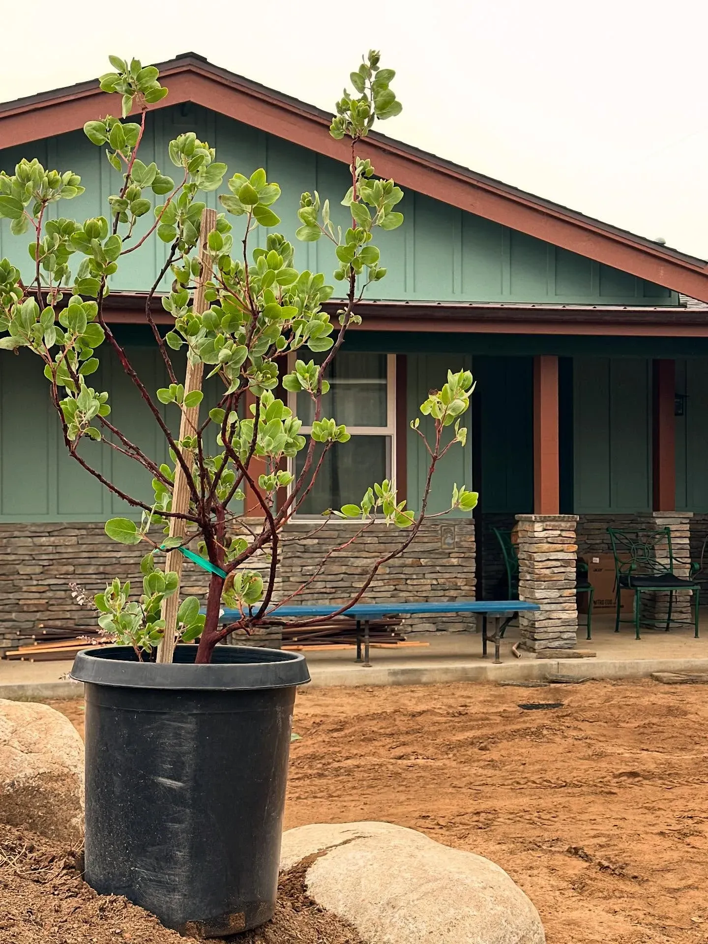 Behr Underground Gardens house exterior paint