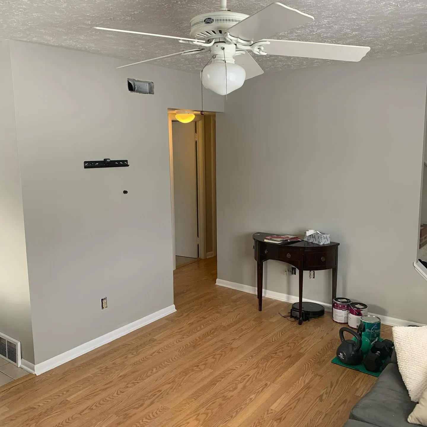 Behr Whitewash Oak living room paint