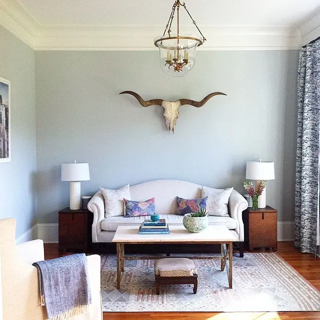 Benjamin Moore Arctic Gray living room color