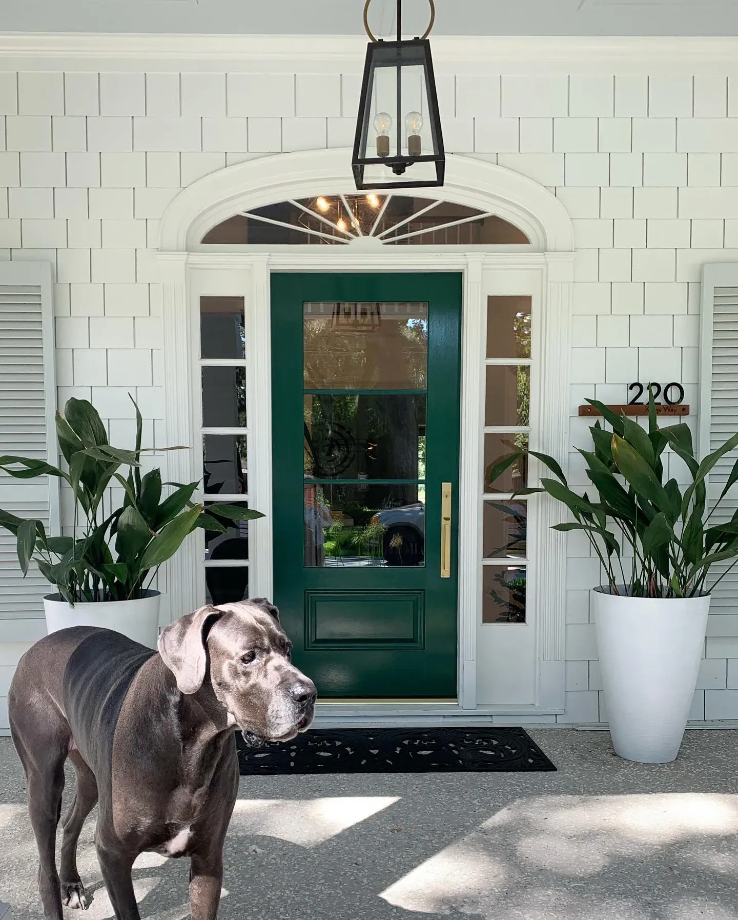 Benjamin Moore Chrome Green front door color