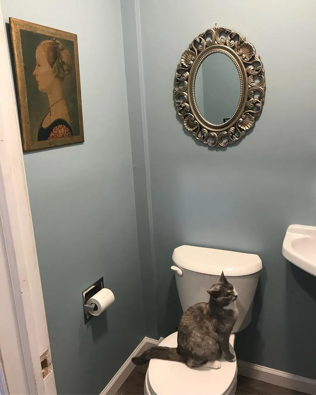 Benjamin Moore Colorado Gray Bathroom