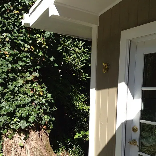 Cromwell Gray house exterior color review