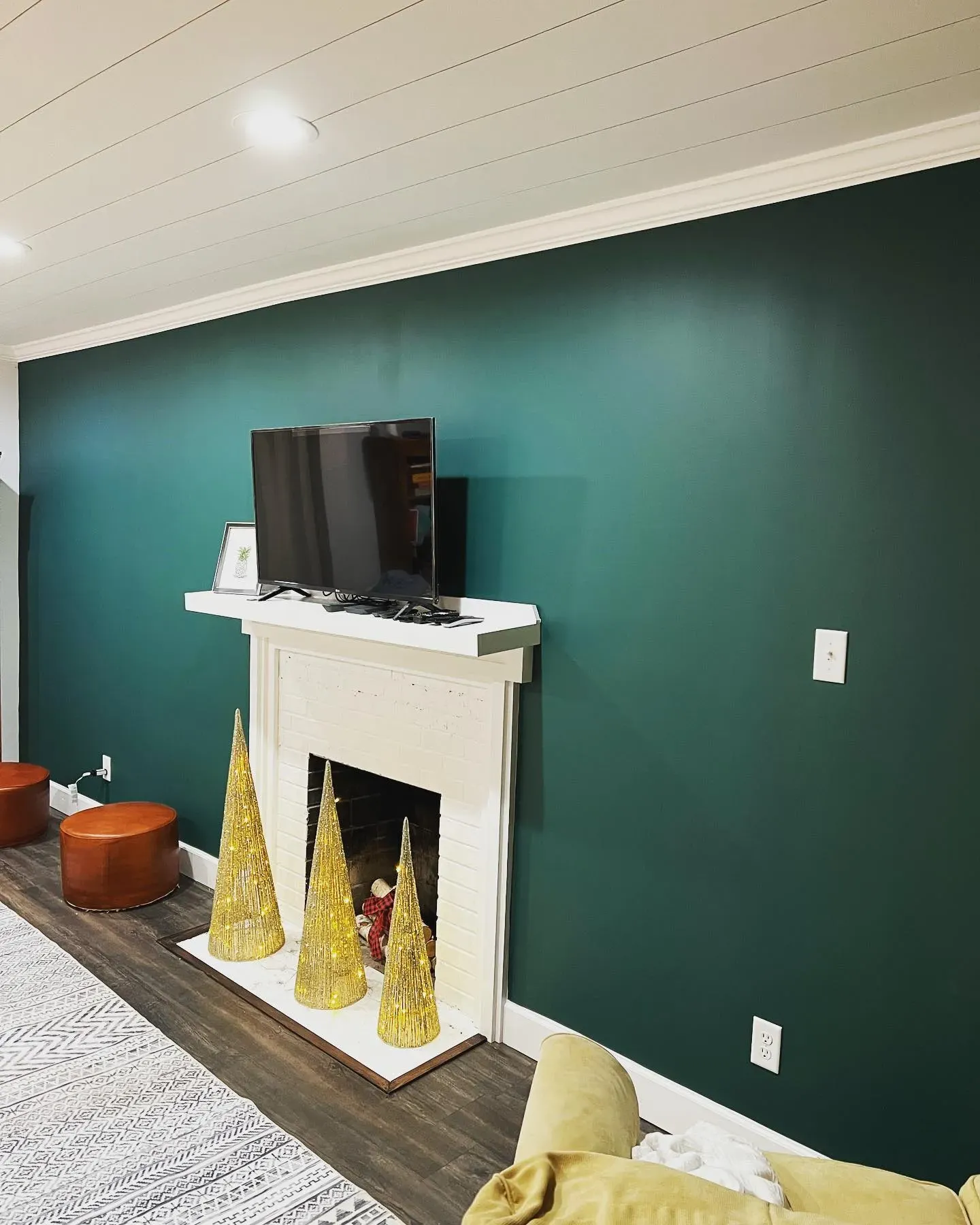 Benjamin Moore AF-510 living room color review