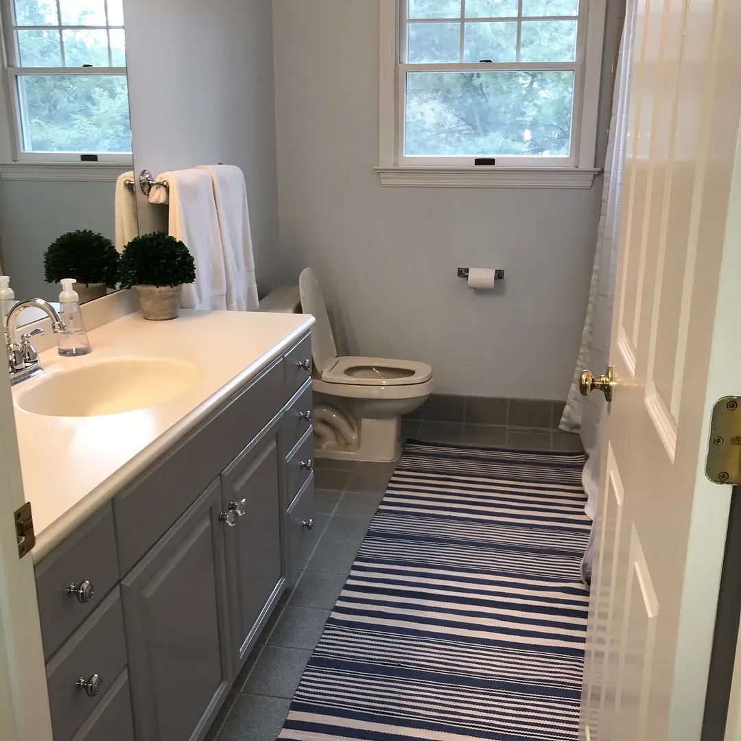Benjamin Moore Genesis White bathroom color