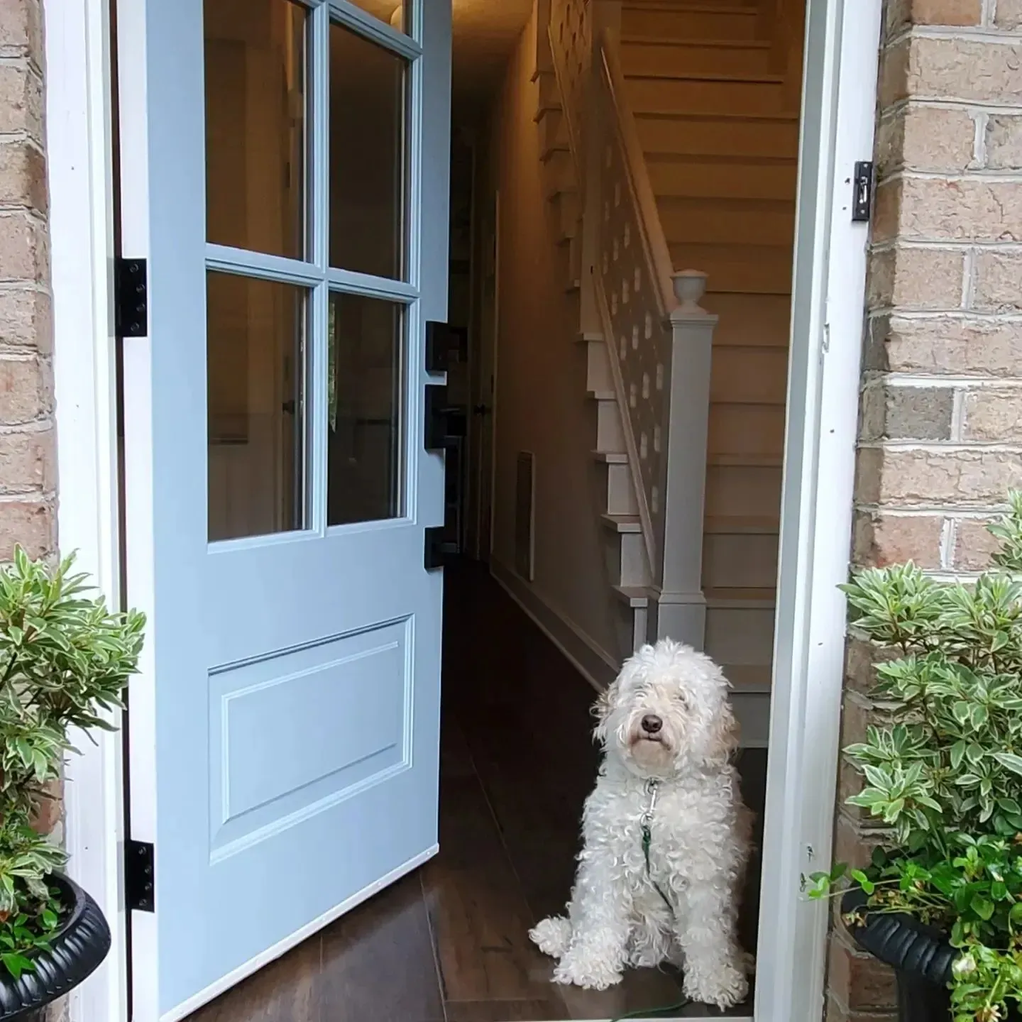 Benjamin Moore Greenhow Blue front door 