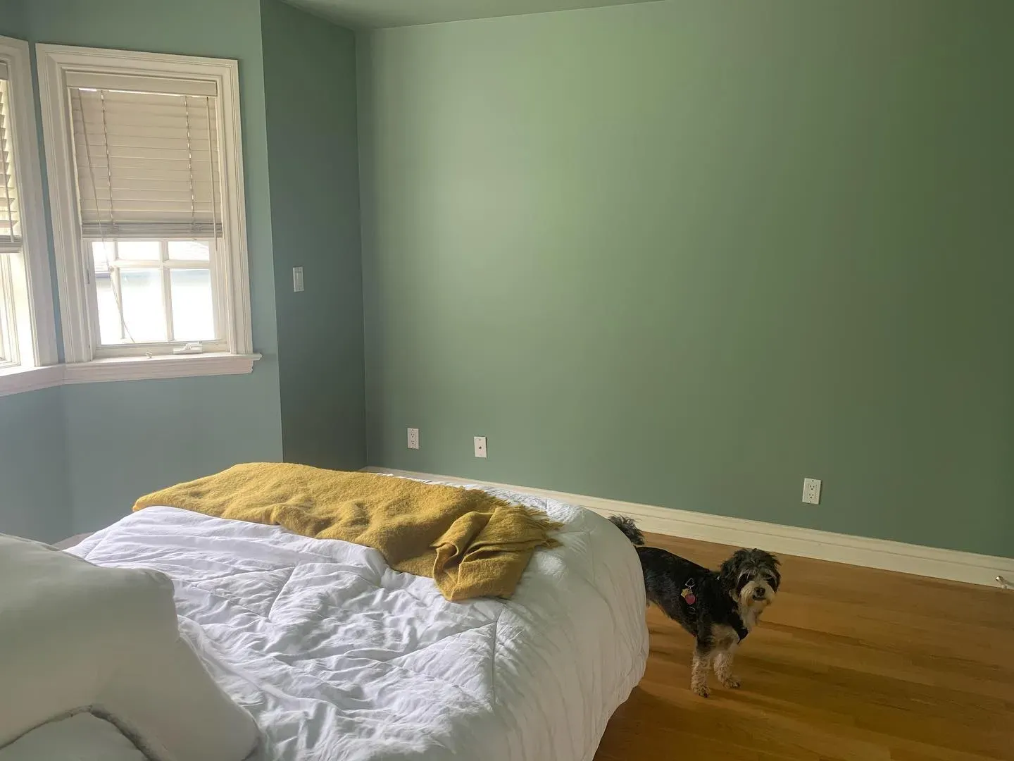 Benjamin Moore Grenadier Pond bedroom color