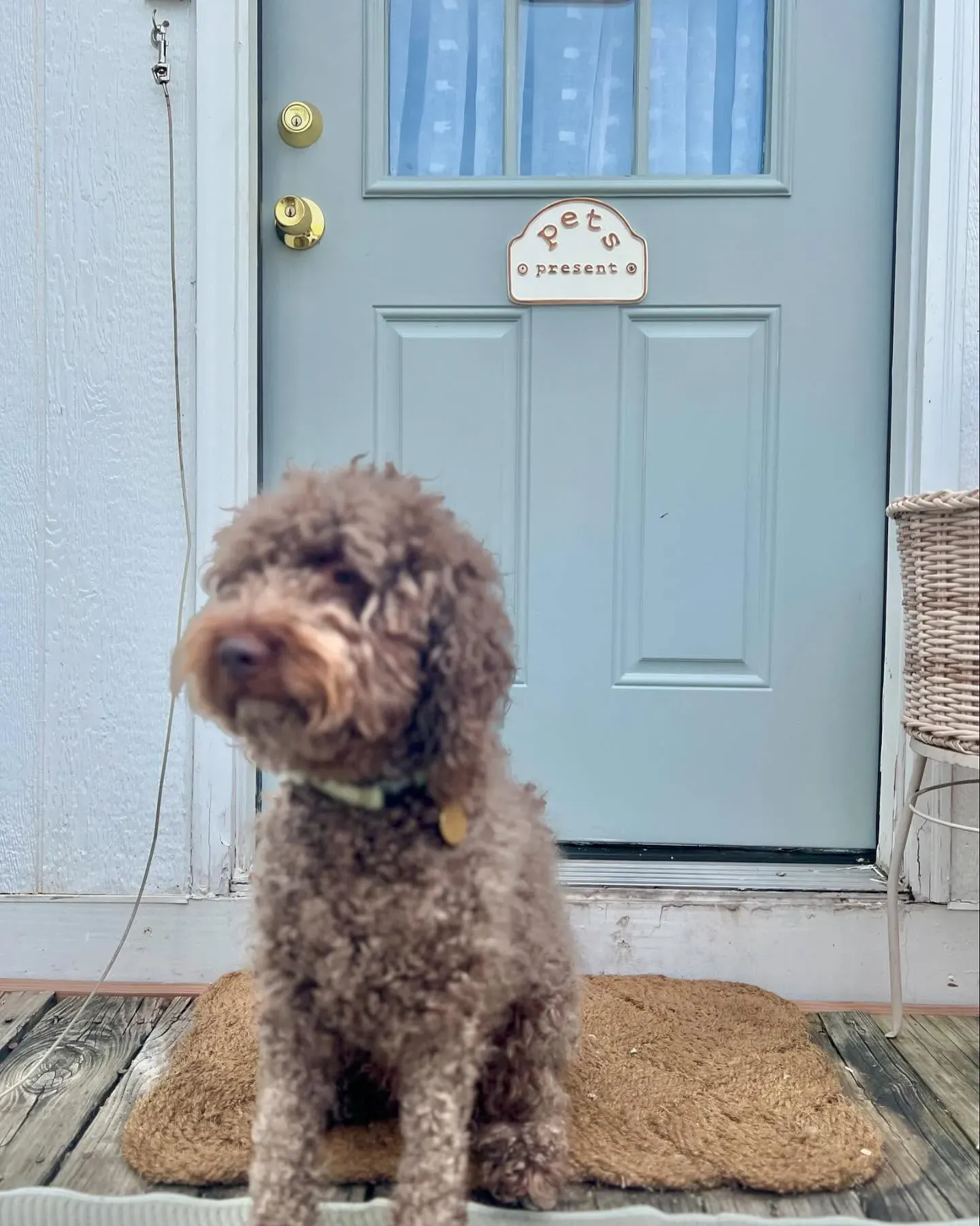 Benjamin Moore Iced Marble front door paint review