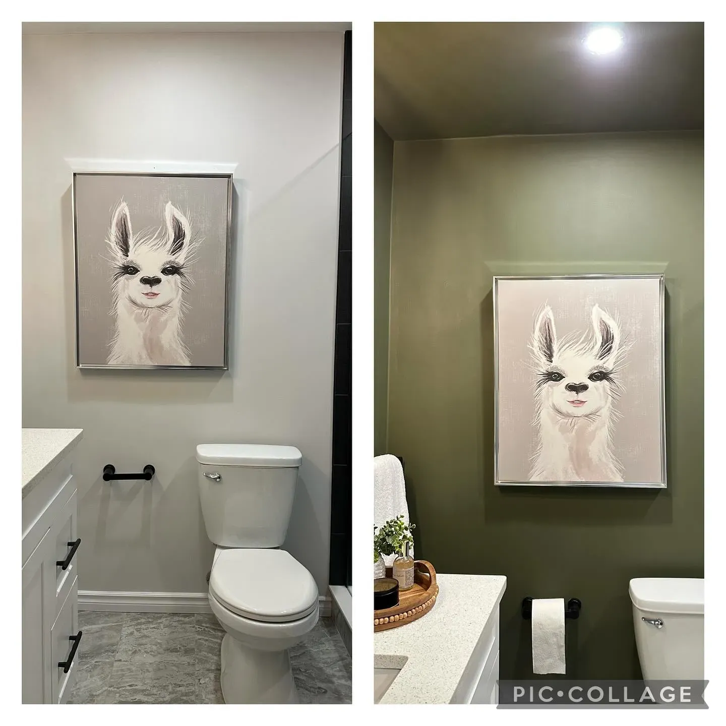 Benjamin Moore Mohegan Sage bathroom makeover