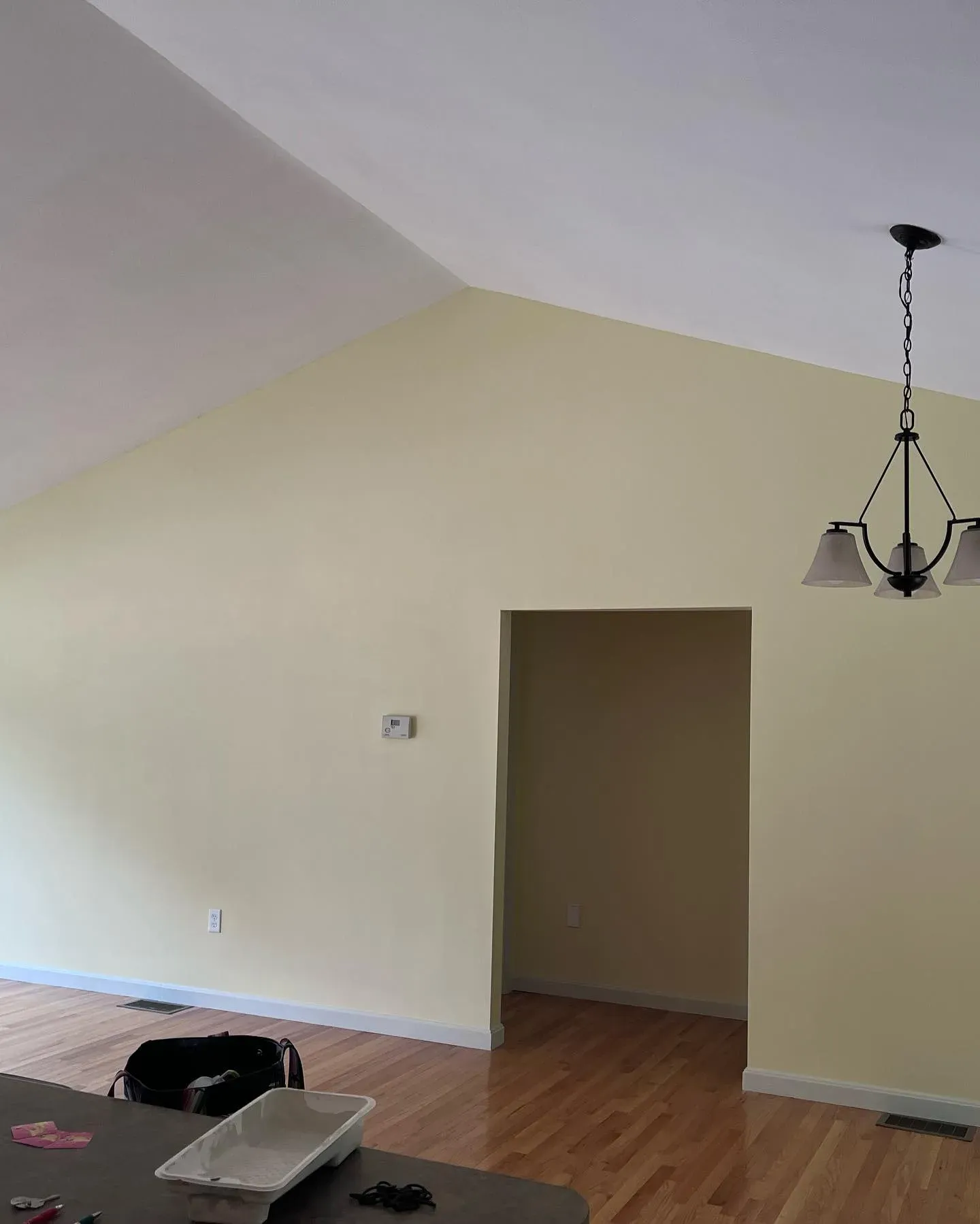 Benjamin Moore Pale Moon living room color