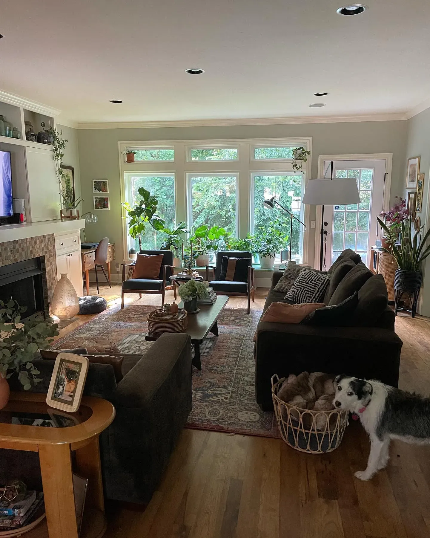 Paris Rain living room interior