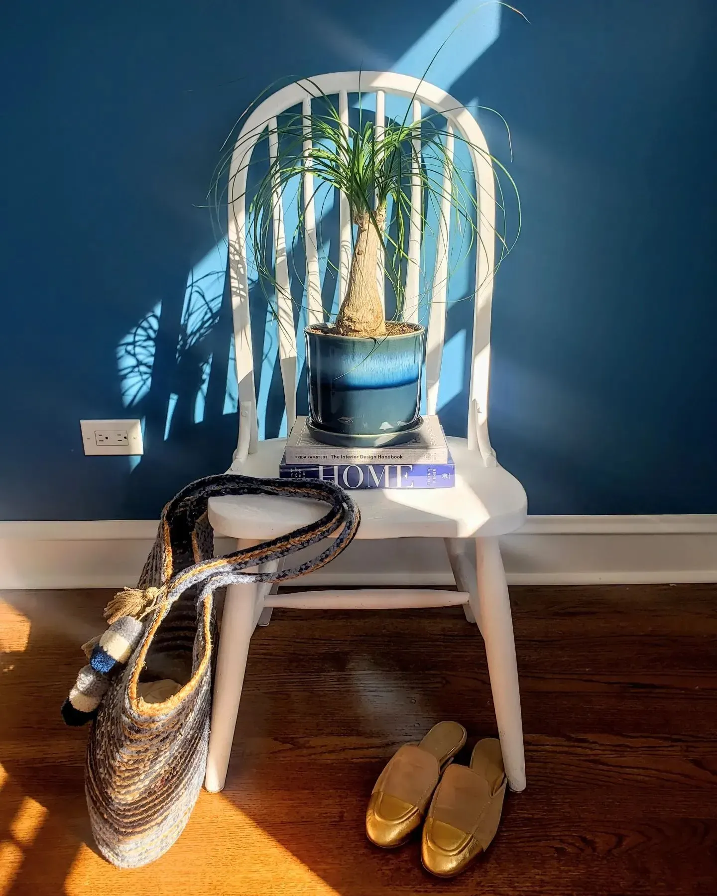 Benjamin Moore Santa Monica Blue living room paint