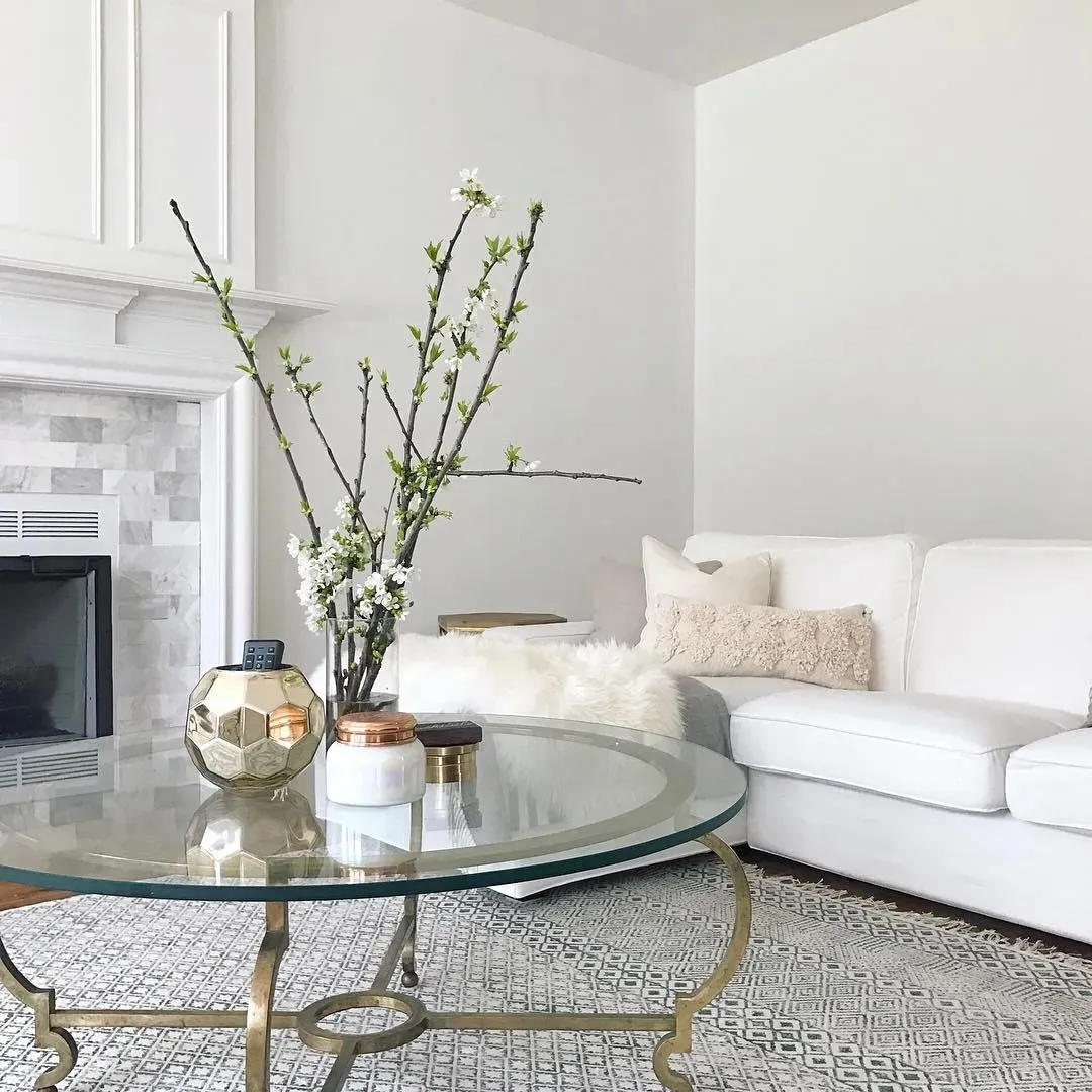 Benjamin Moore Super White living room color