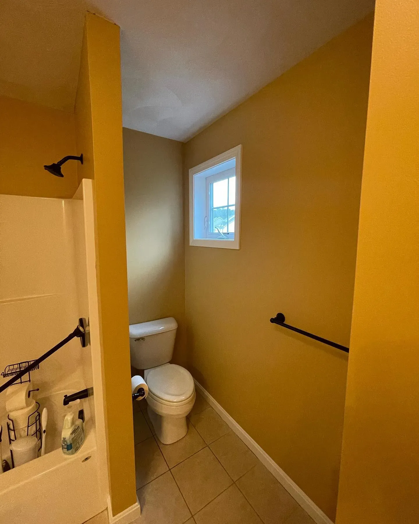 Tavern Ochre bathroom paint review