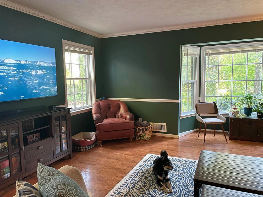 Billiard green living room