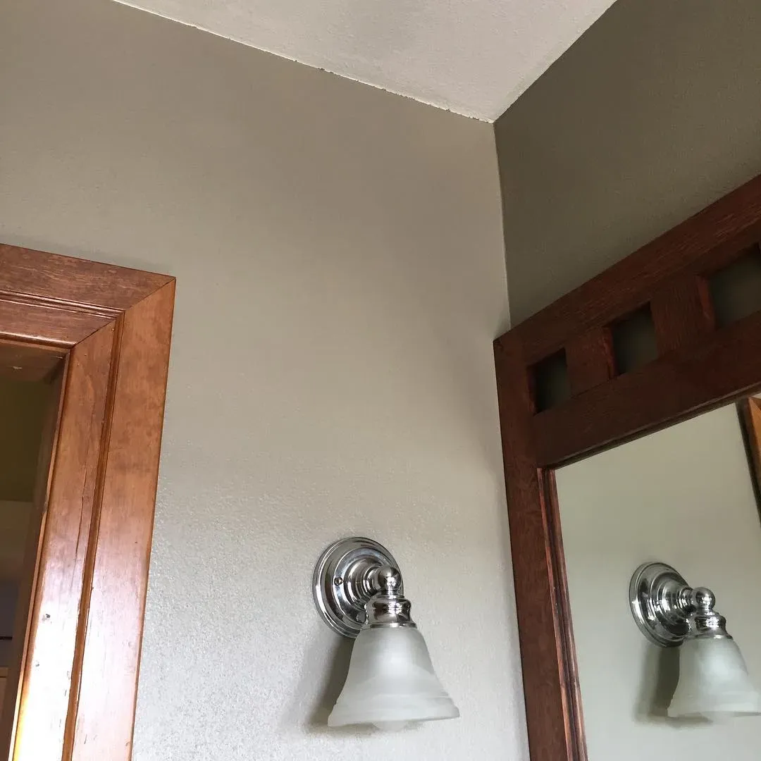SW 2845 bathroom color review