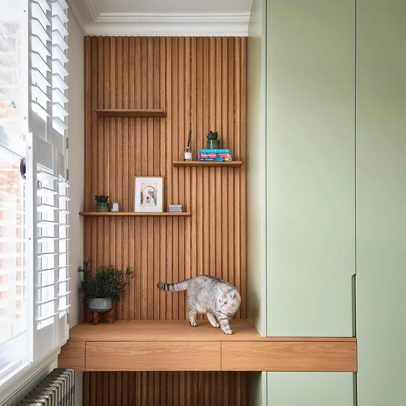 Wardrobe cabinets review Vert de Terre Farrow and Ball