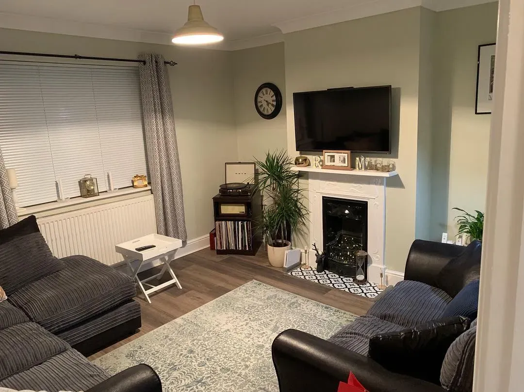 Gooseberry Fool 5 living room paint review