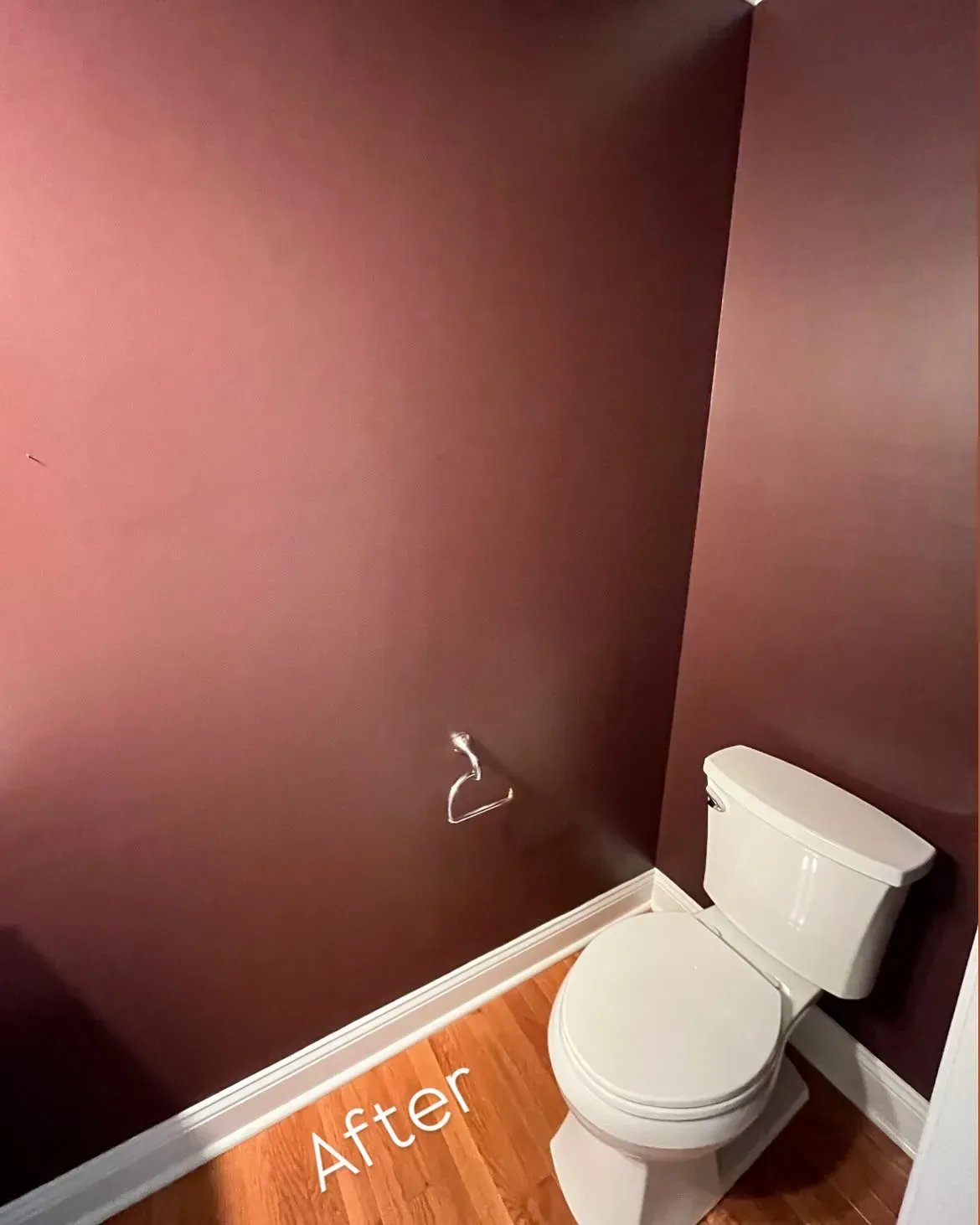Sherwin Williams Carnelian bathroom 