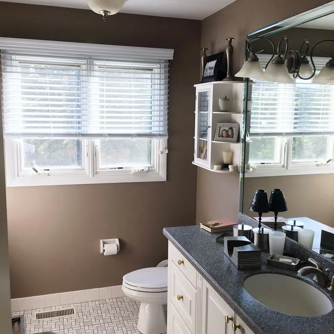 Sherwin Williams Chatura Gray bathroom paint review