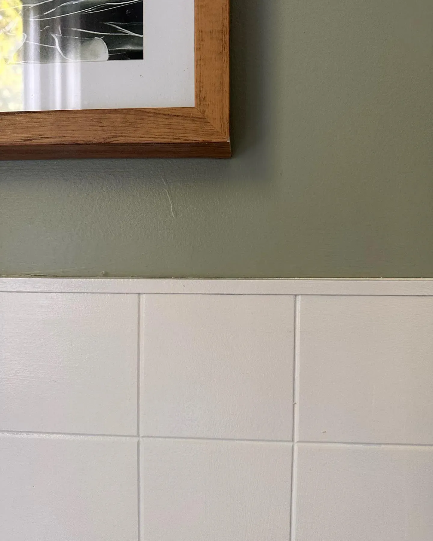 SW Clary Sage bathroom paint