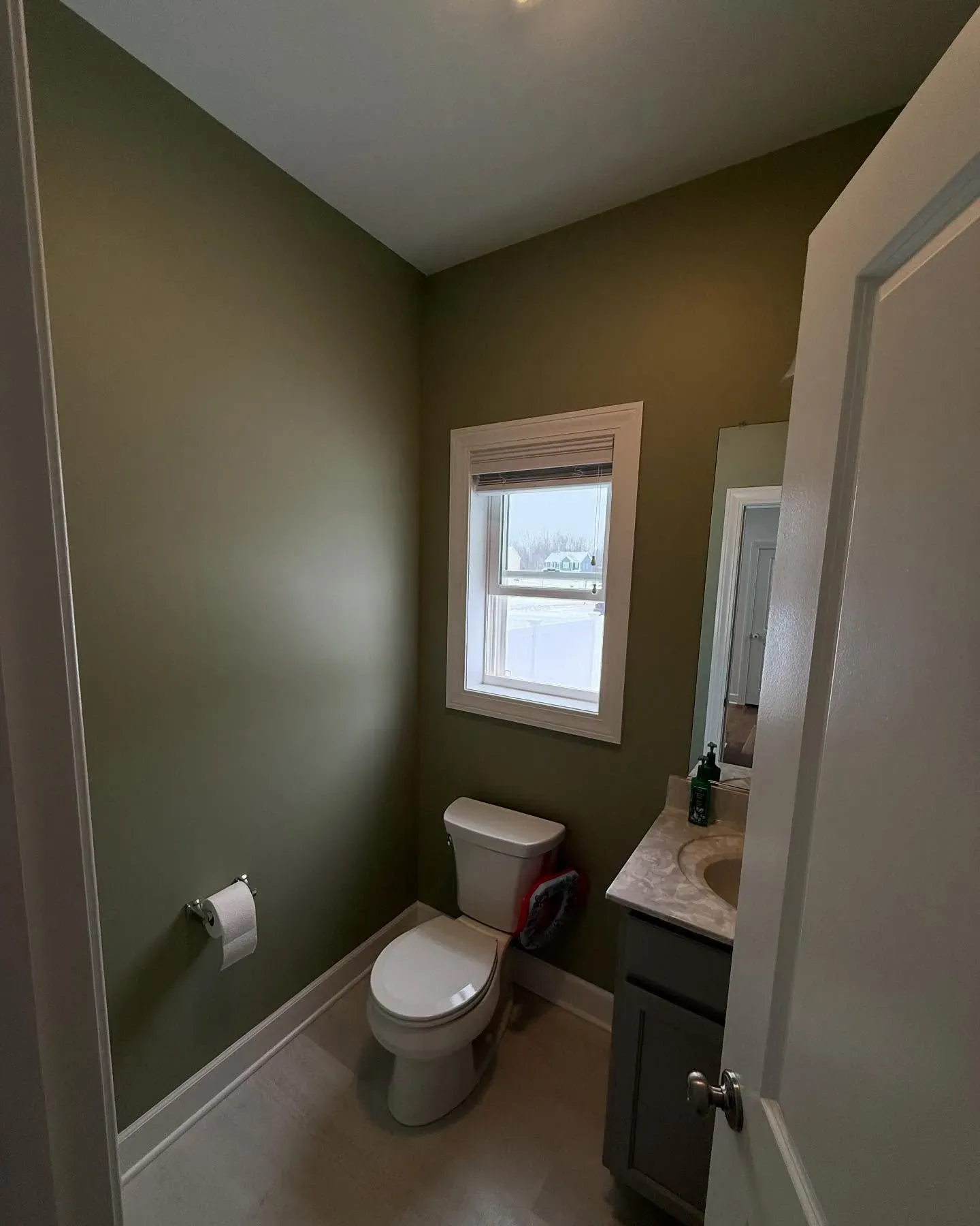 SW Clary Sage bathroom review