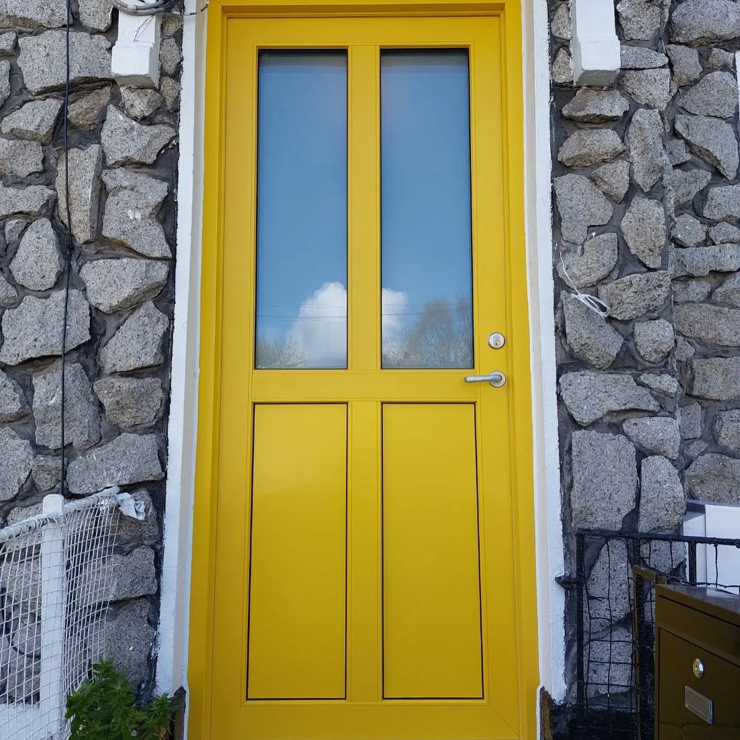 RAL 1021 front door color