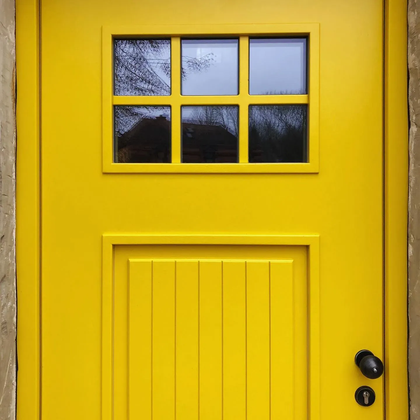 RAL Classic  Colza yellow front door paint