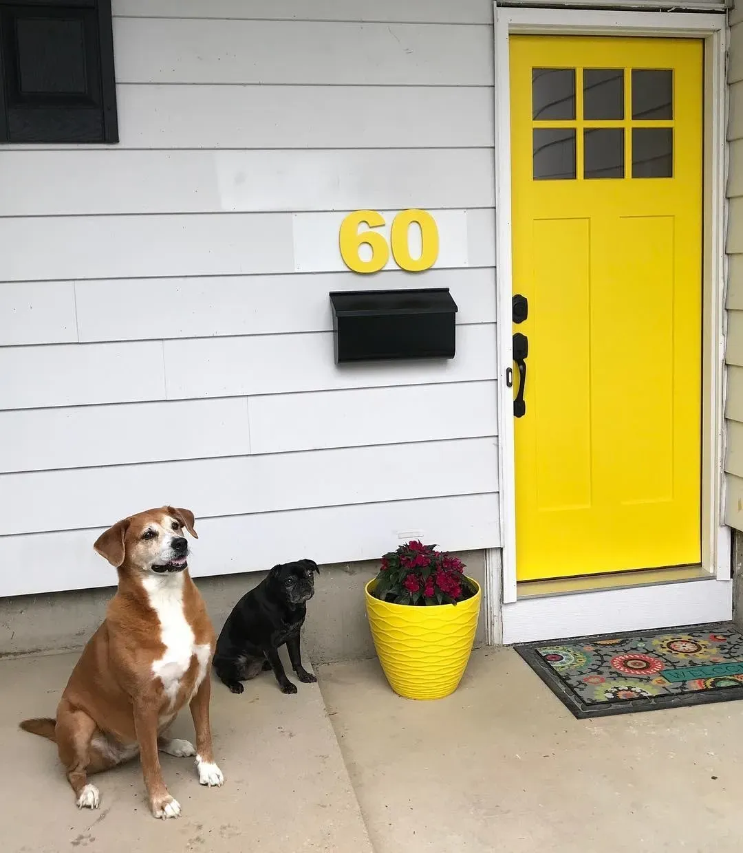 SW Confident Yellow front door 