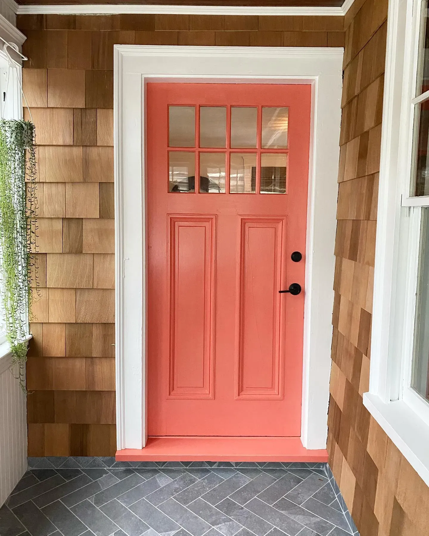 SW 6606 front door paint