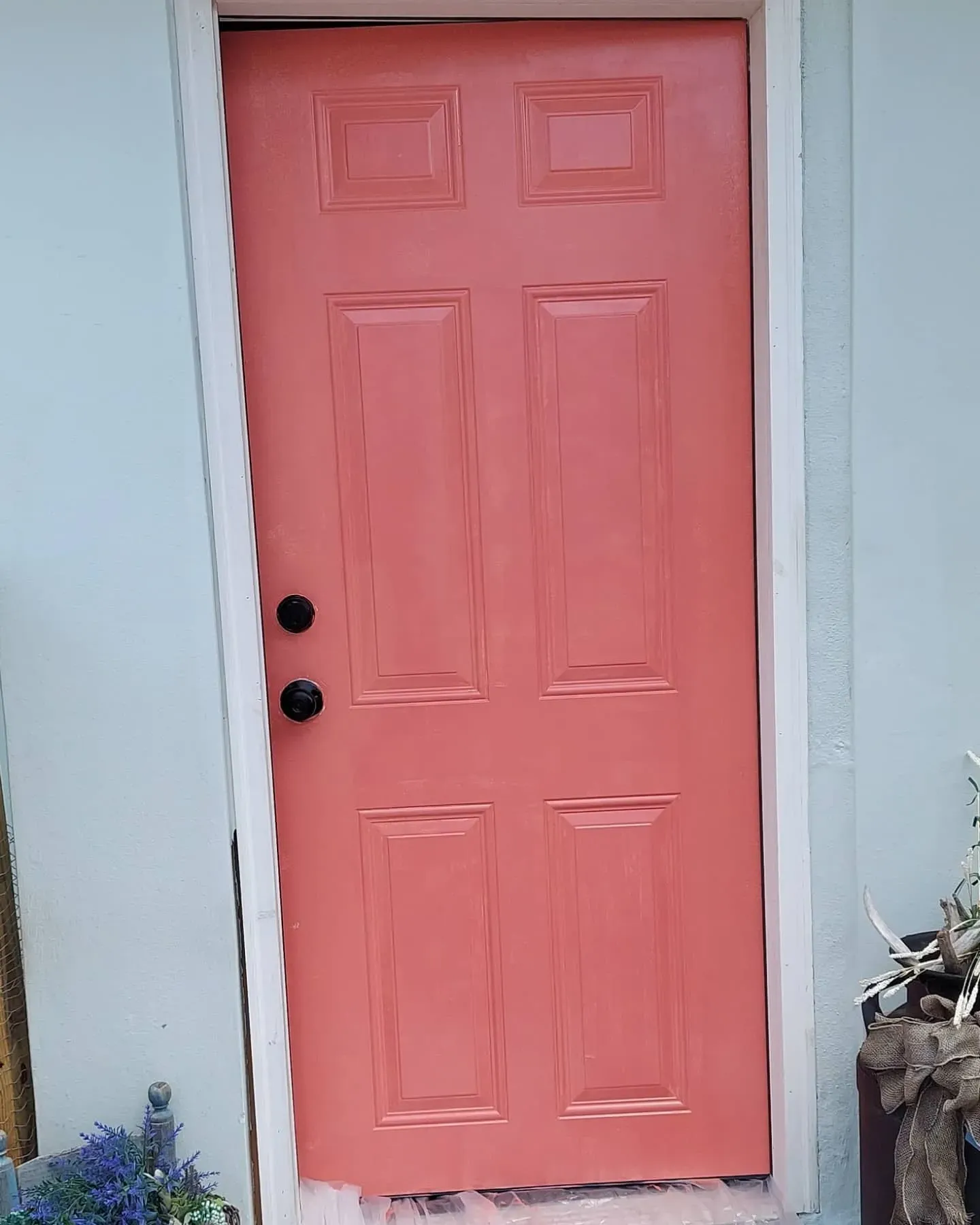 Sherwin Williams Coral Reef front door paint