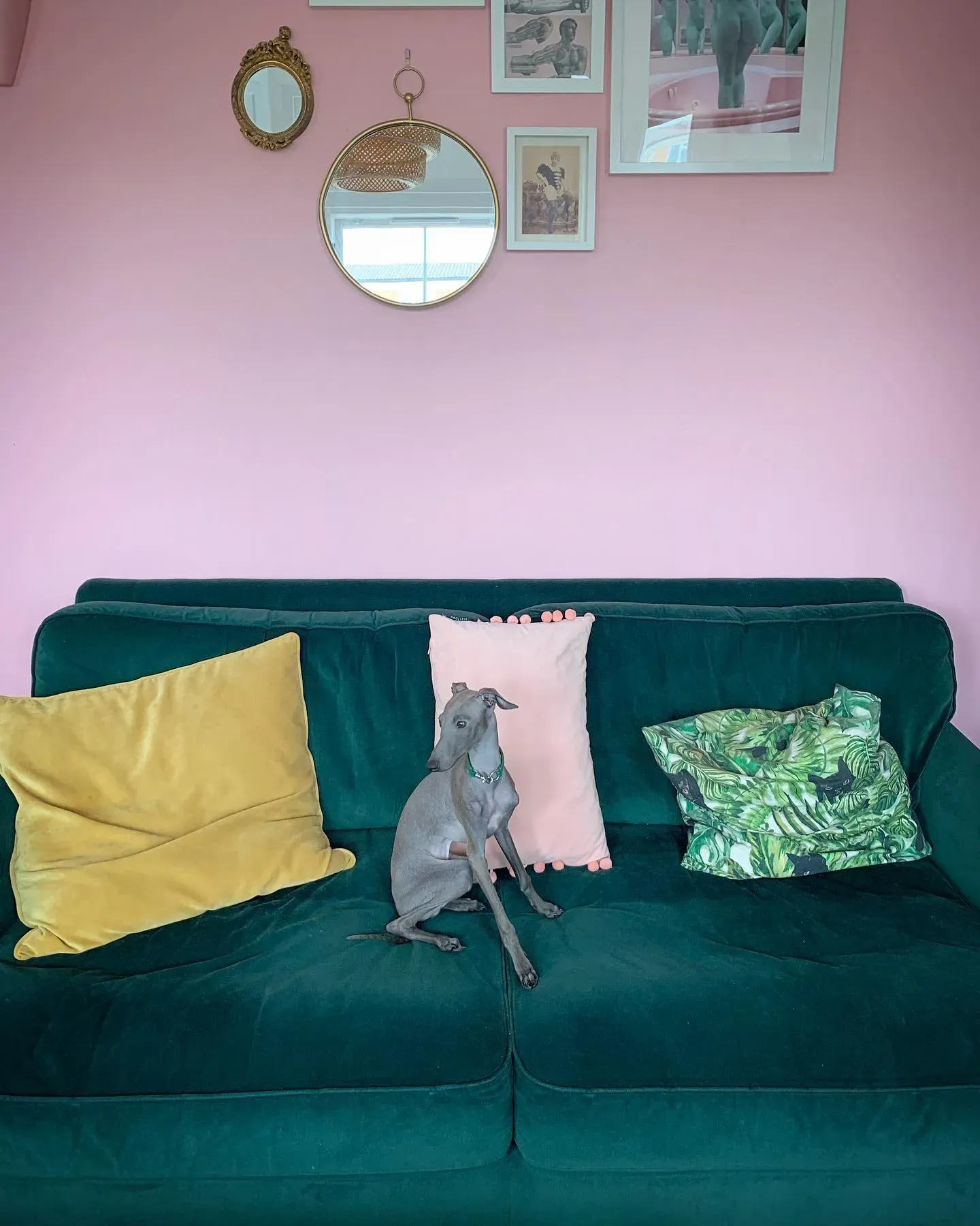 Nancy's Blushes living room paint review