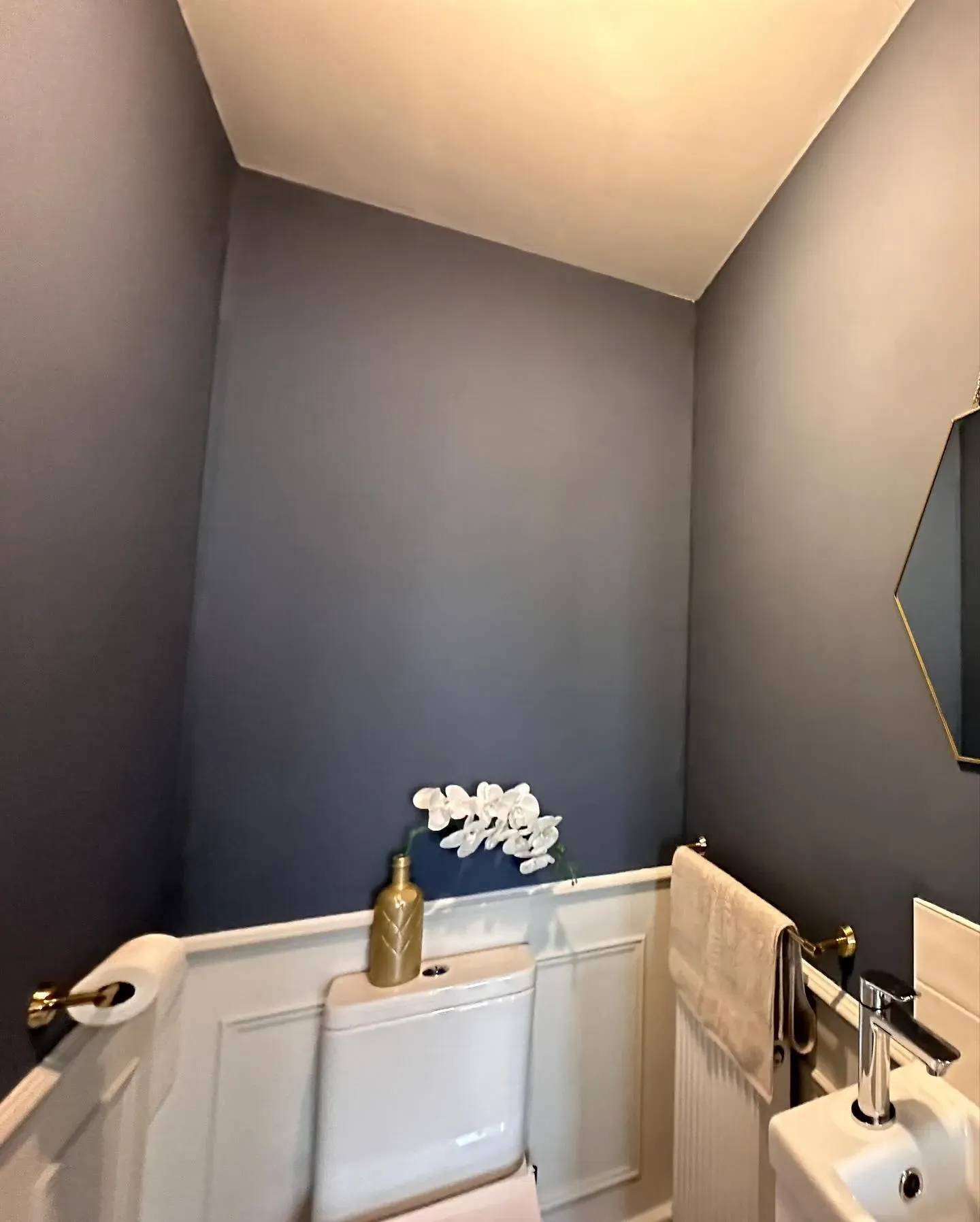 Farrow and Ball Wine Dark bathroom color review