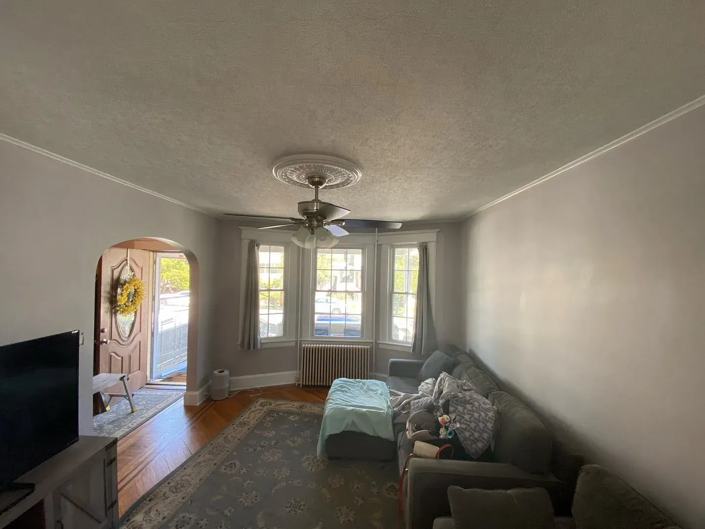 Sherwin Williams Destiny living room picture