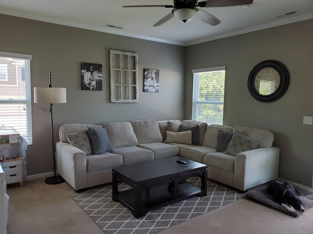 Greige living room Sherwin Williams Fawn Brindle