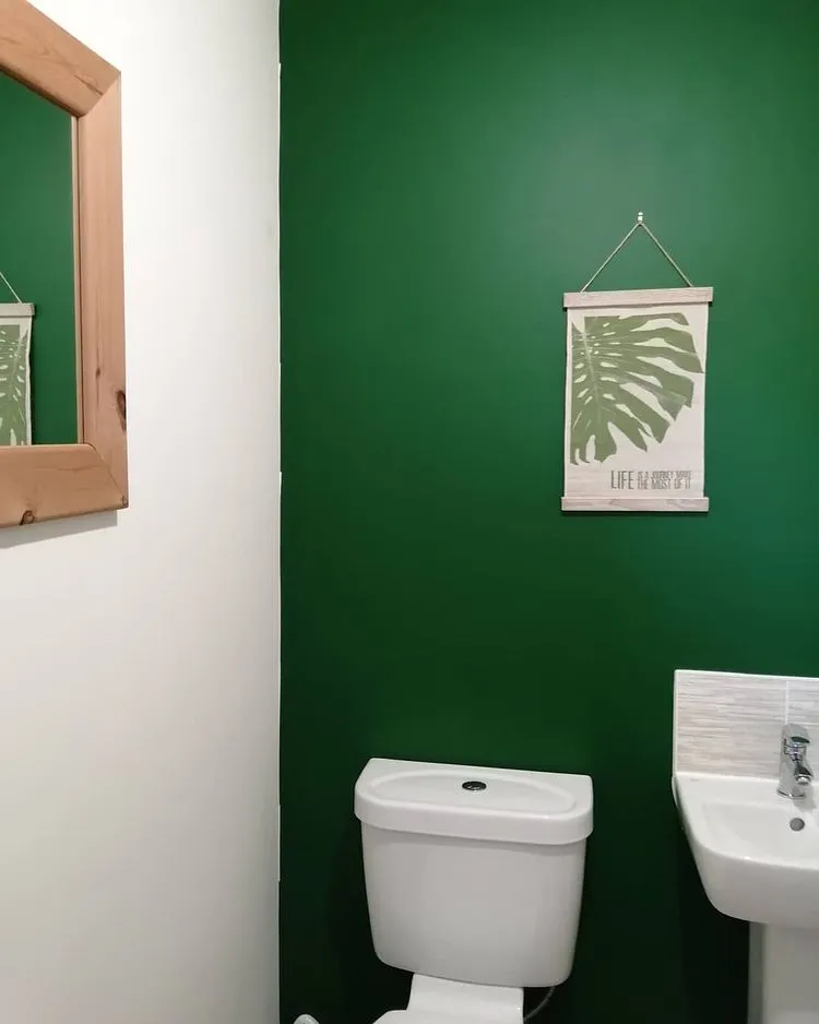 Green accent wall in a bathroom Dulux Woodland Fern 1 review