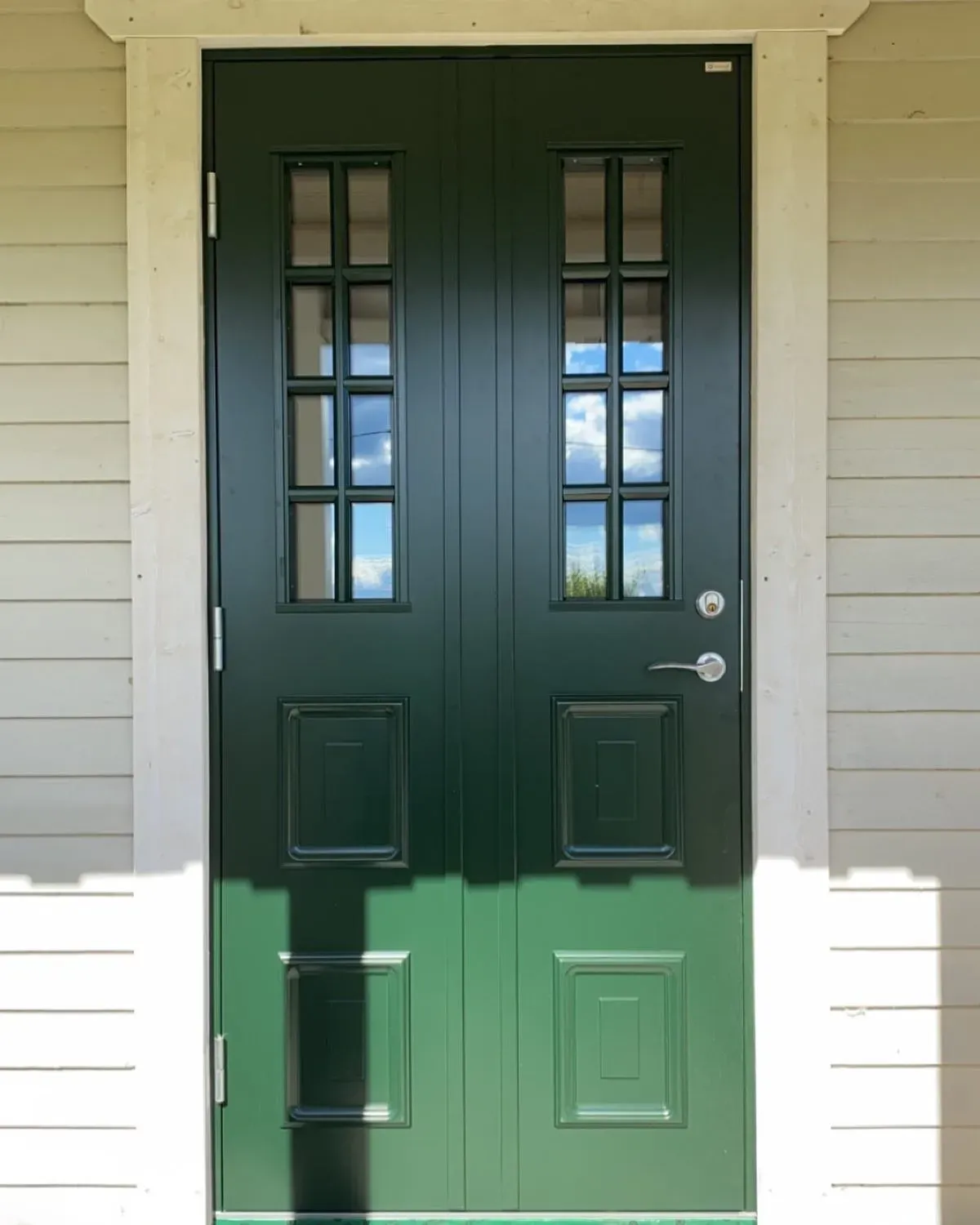 RAL 6009 front door paint