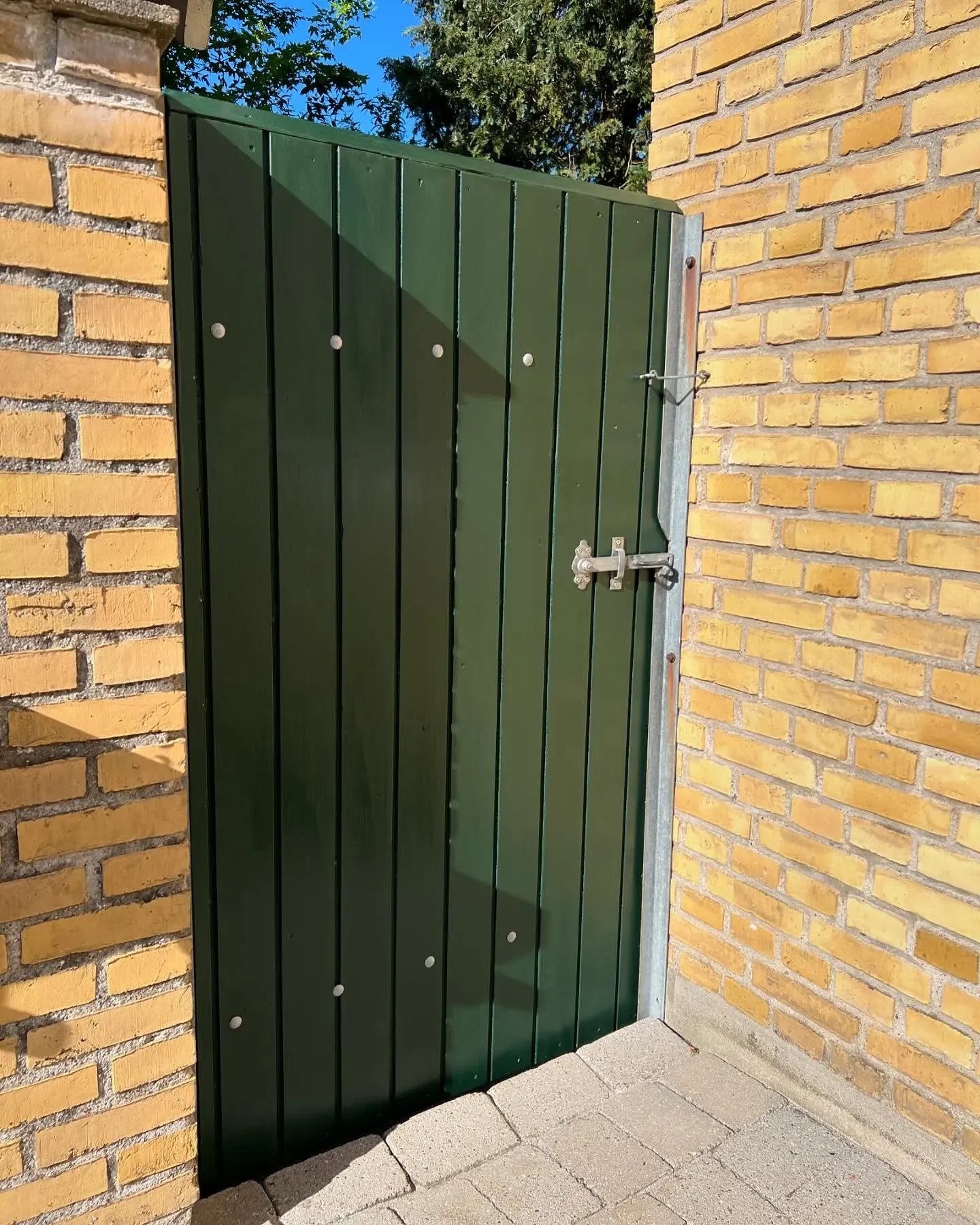 RAL 6009 exterior paint review